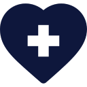 Health Care Icon